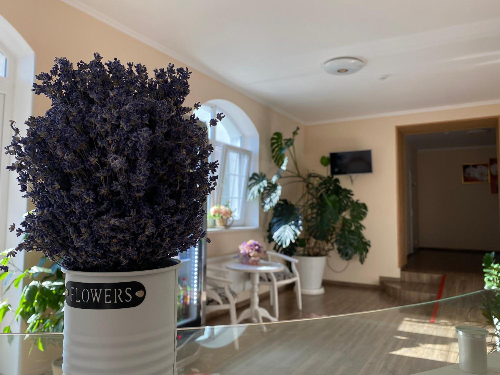 Орхідея Hotel Romny Exterior foto