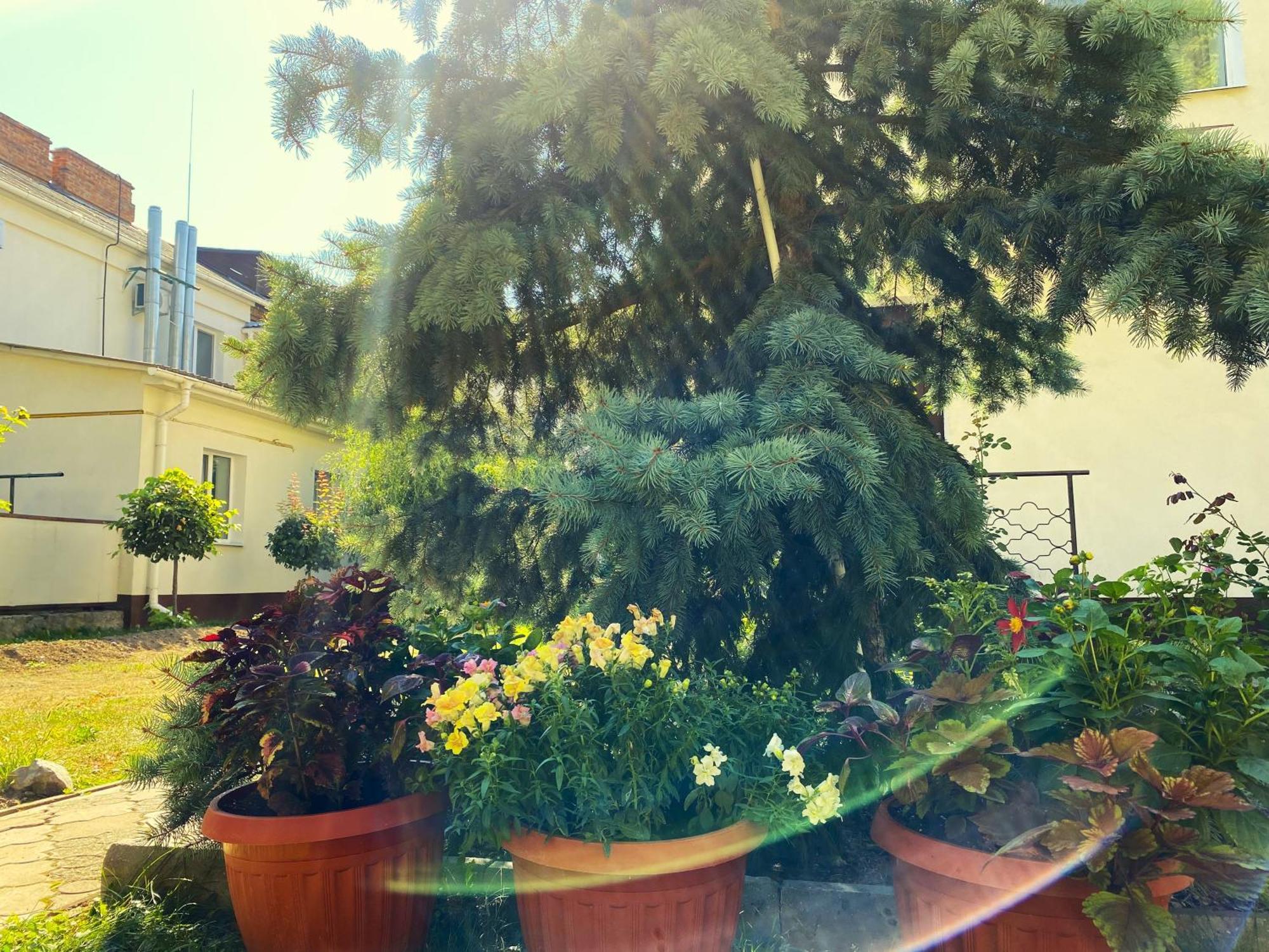 Орхідея Hotel Romny Exterior foto